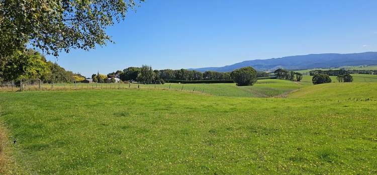 1550 Waimumu Road Te Tipua_17