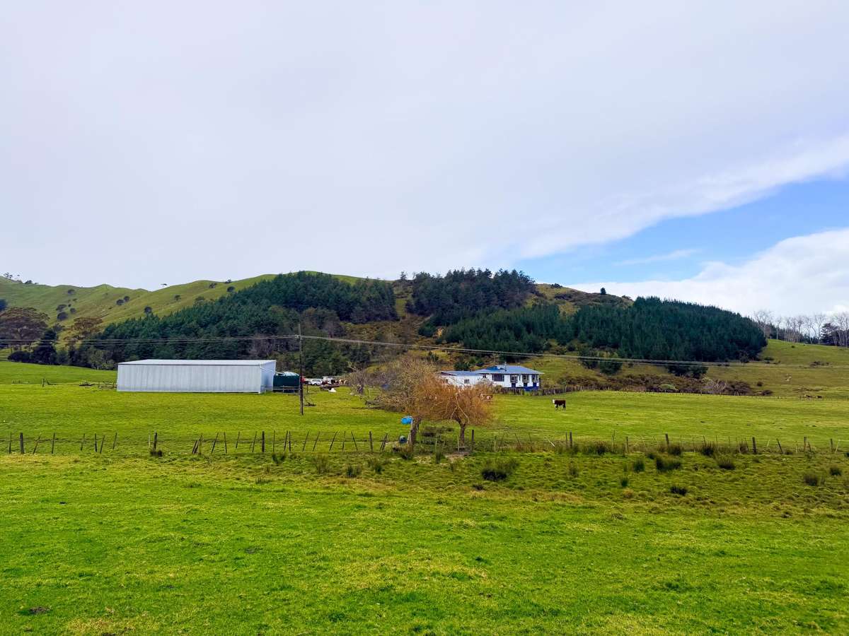 596 Waikare Road_2