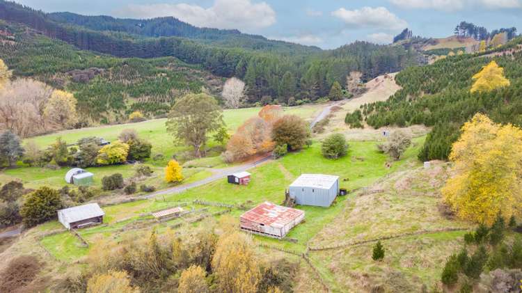 424 Tapuiwahine Road Ongarue_25