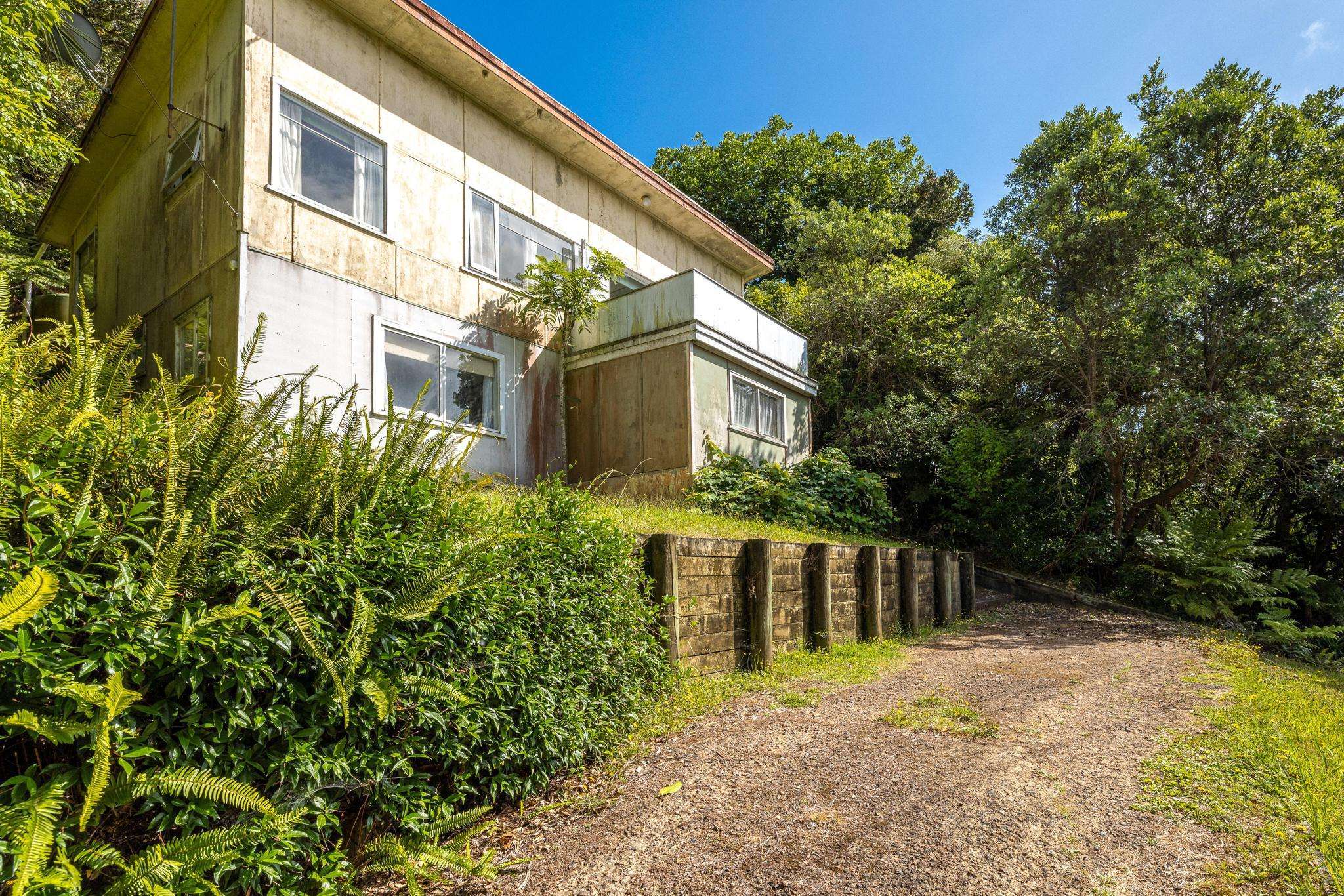 How two teenagers bought a slice of Waiheke Island for less than £100