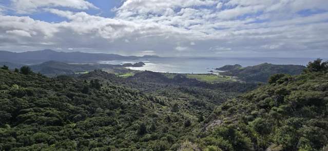 Large native landholding – 67 hectares