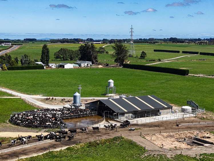 251 Rakahouka Hedgehope Road Mabel Bush_16