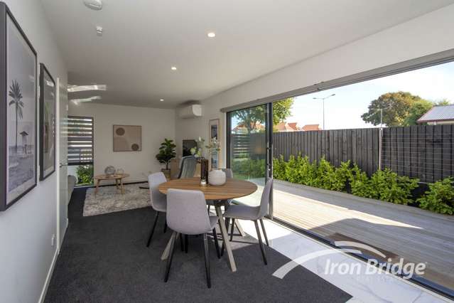 181a Brougham Street Sydenham_3