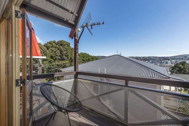 83b Majoribanks Street Mount Victoria_4