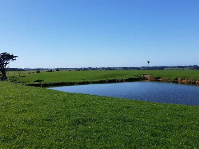 1584a Brunswick Road Kai Iwi_4