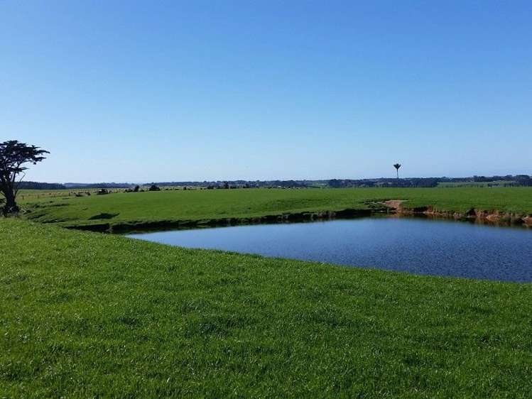 1584a Brunswick Road Kai Iwi_4