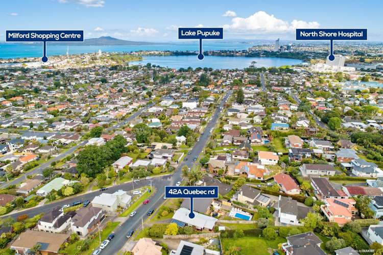 42a Quebec Road Milford_16