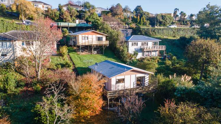 25 Jenner Road Toi Toi_24