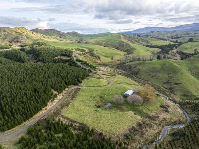 828 Matahorua Road Putorino_2