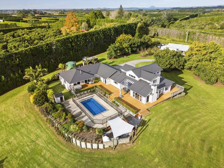 93a Walker Road East Katikati_3