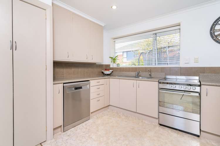 179 Highcliff Road Shiel Hill_8