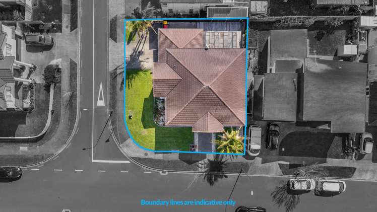 224 Jeffs Road Flat Bush_34