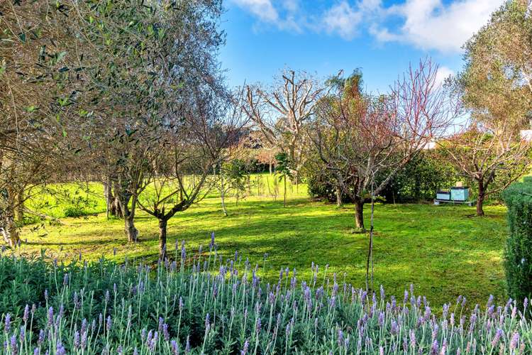 272 Glenbrook Beach Road Glenbrook_15