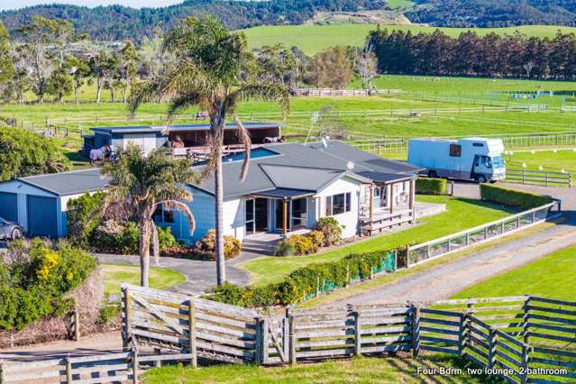 Horsing Around? Your Equestrian Dream Awaits!