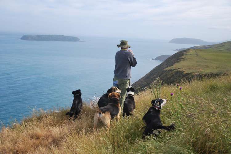 292 Boom Rock Road Ohariu_17