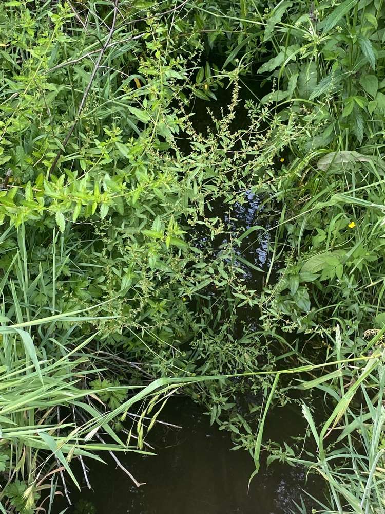 167 Wilson Road Kakaramea_18