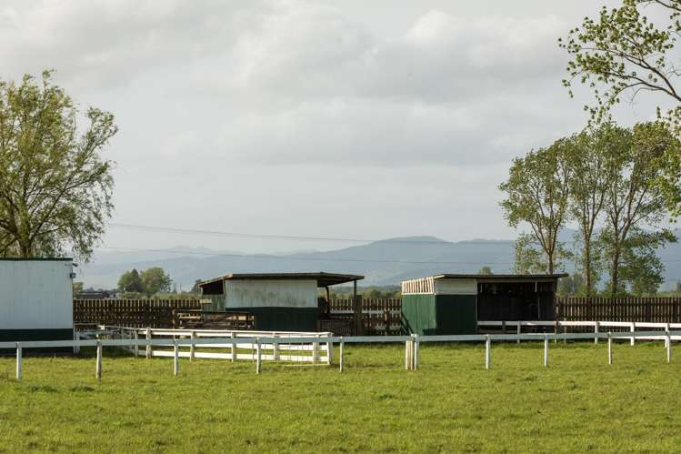 108 Old Netherton Rd Netherton Paeroa Paeroa_32