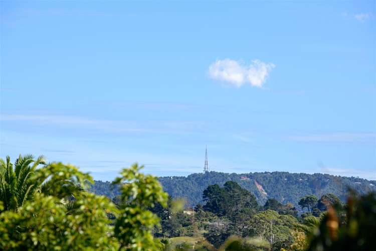 8 Brookwood Drive Henderson_24