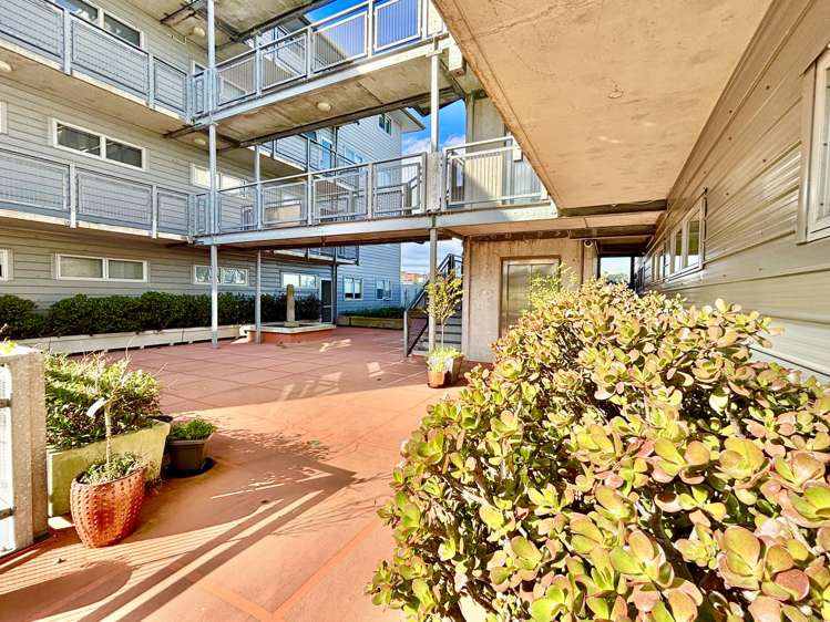 2B/1 Ophir Street Grey Lynn_15