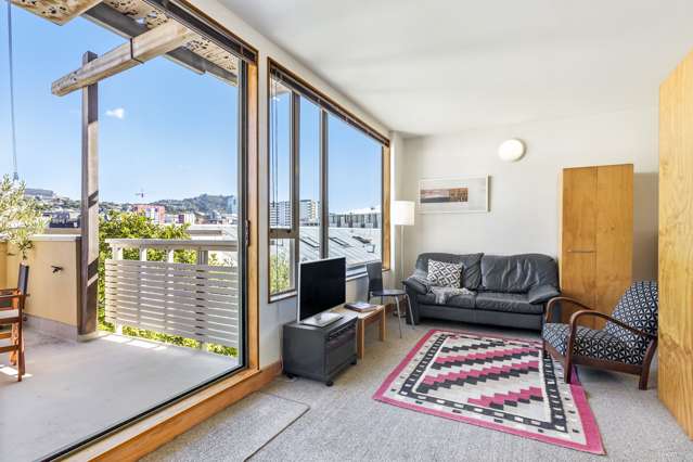 15/4 Frederick Street Te Aro_1