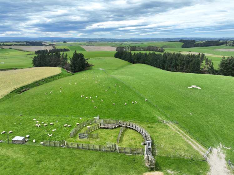 20 Carruthers Road Ashley Downs_3