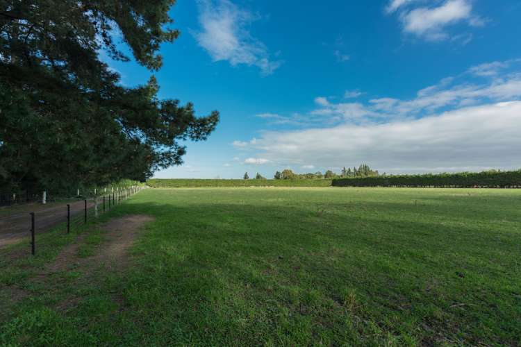 10 Mount Thomas Road Fernside_8