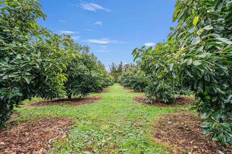 78 Lockington Road Aongatete_22