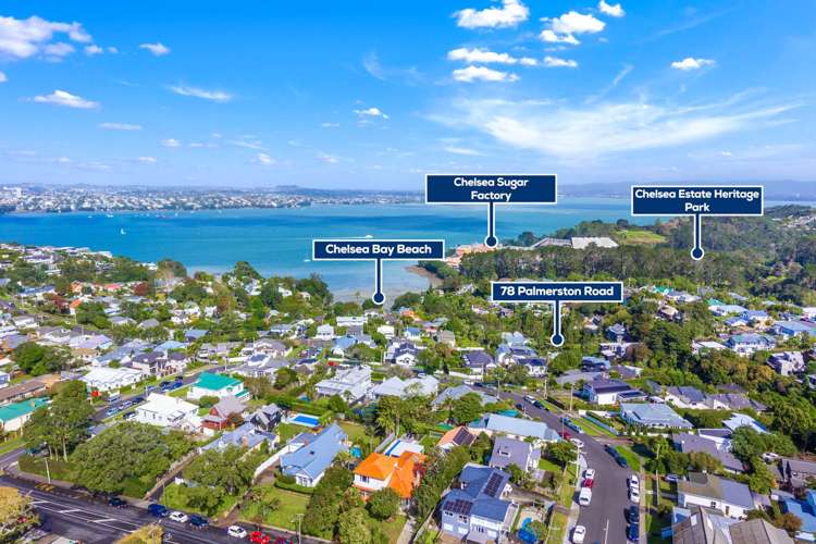 78 Palmerston Road Birkenhead Point_19