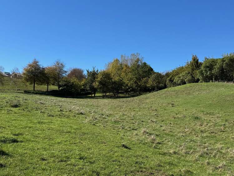 Tuki Tuki Road Haumoana_6