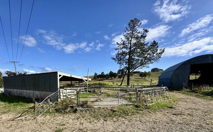 967 Golden Stairs Road Taipuha_12