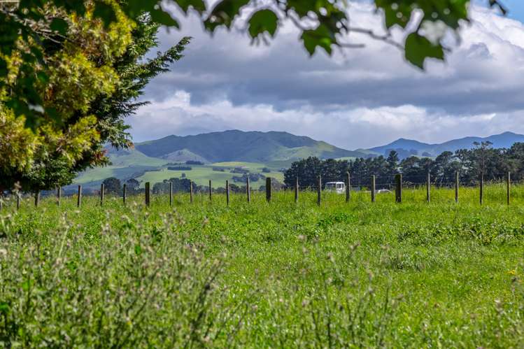 3509 State Highway 2 Carterton_10