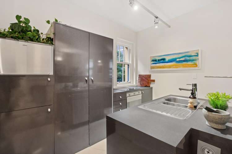 1a/3 Plimmers Steps Wellington Central_7