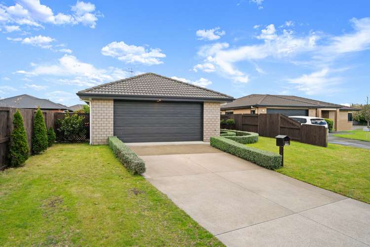 61 Twin Oak Avenue Papamoa_17