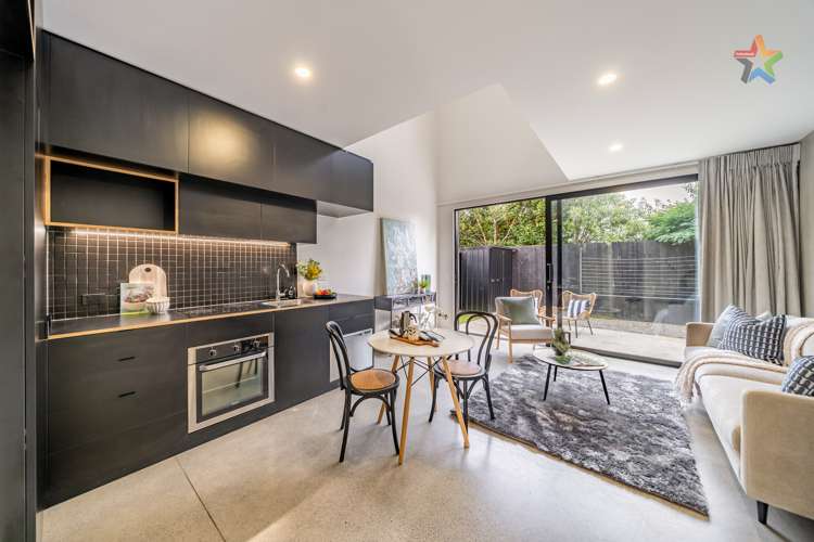 1 Te Ara O Paetutu Petone_6