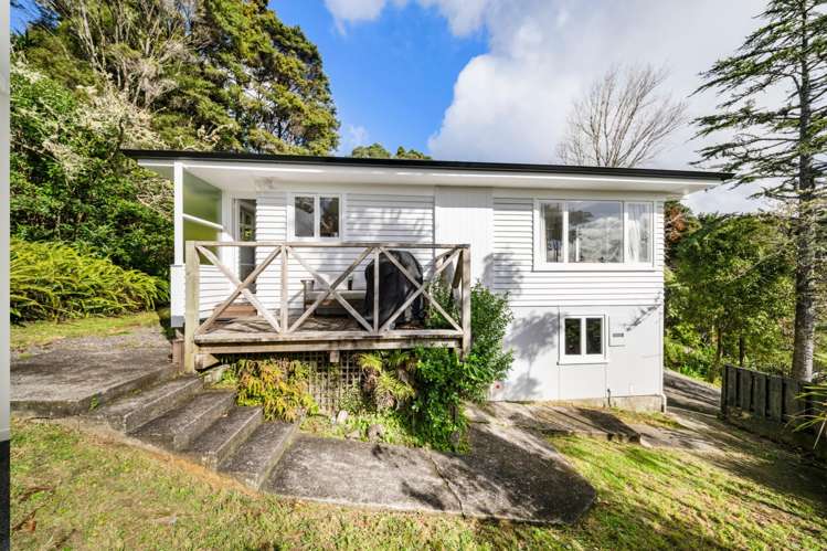  12 Daffodil Street Titirangi_13
