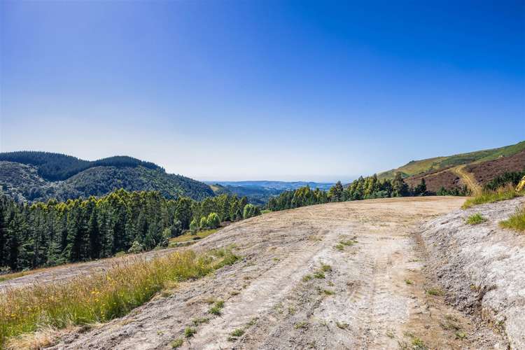 385 Glentui Bush Road Glentui_3