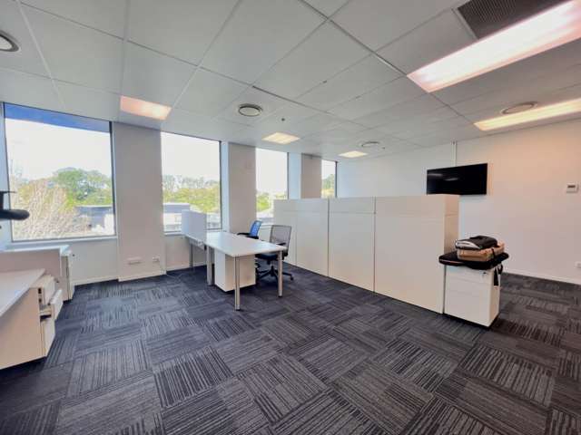 18 Normanby Road Mt Eden_1