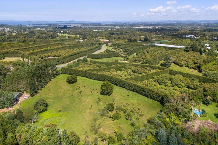 Lot 11 Timon Drive_0