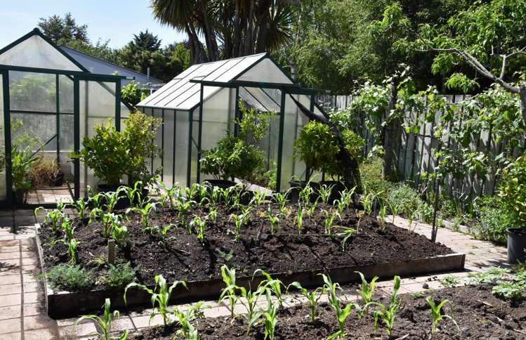 23 Burnett Street Oxford_18