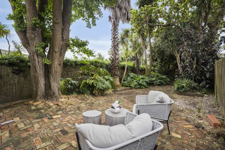 37 Rose Road Grey Lynn_12