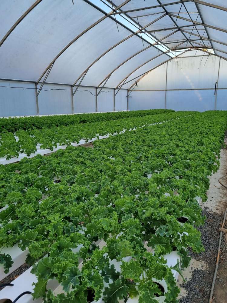 116 Wingatui Road Mosgiel_27