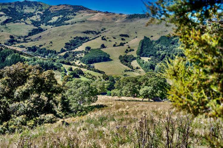 190 Okains Bay Road Robinsons Bay_8