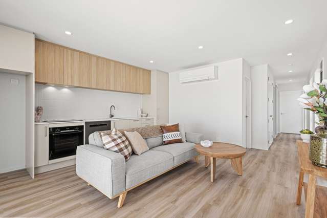 36 Harker Street Spreydon_1