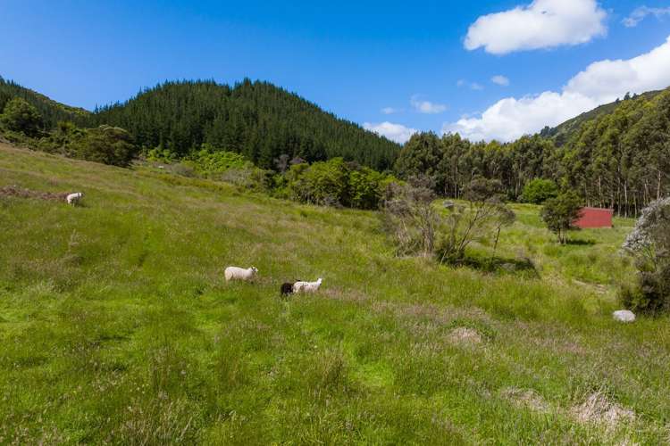 304 State Highway 1 Anakiwa and Surrounds_24