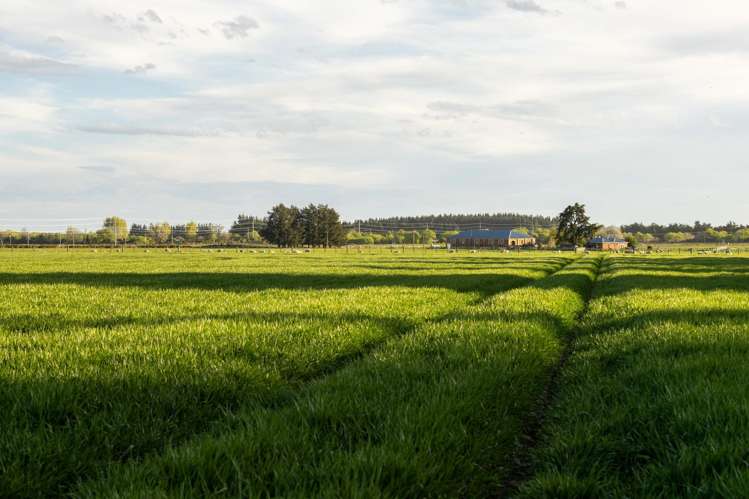 Rowallan Road Darfield_38