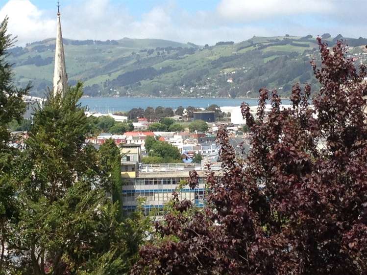 15 Elder Street Dunedin Central_19