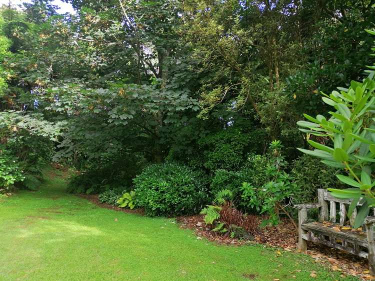 259 Surrey Hill Road Oakura_9