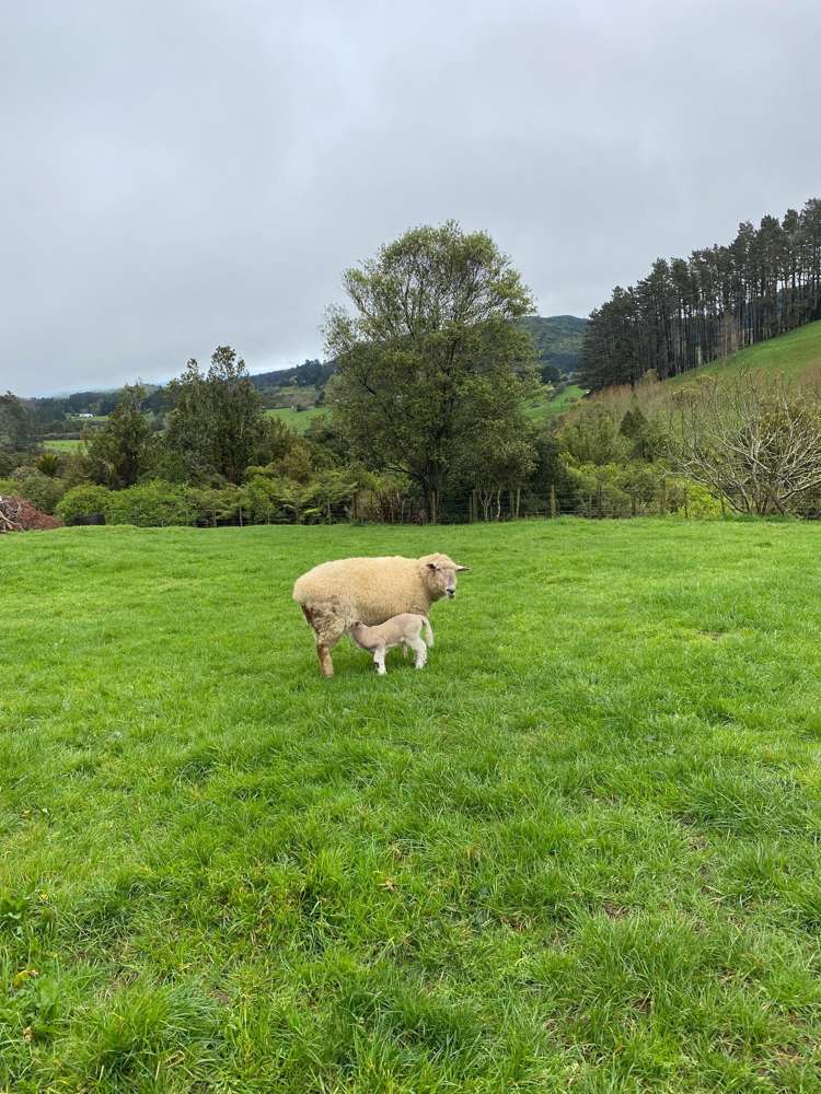 486 Pinnacle Hill Road Bombay_22