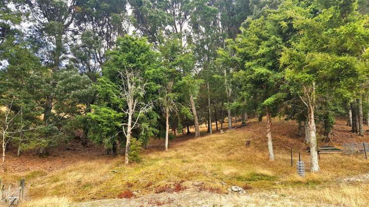 337 Old Coach Road Upper Moutere_7