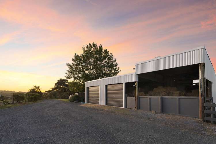 329 Forestry Road Waitoki_5